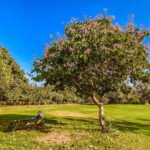 जयपुर की गर्मी से राहत दिला रहे ये गार्डन, लोगों के पसंदीदा पिकनिक स्पॉट बने